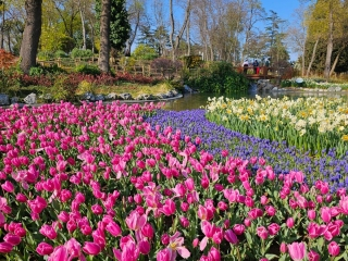 Istanbul – poveste de primăvară printre lalele, 03-09.04.2026 (grup organizat)